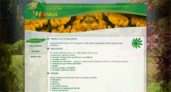 Desktop Screenshot of florima.ibastudio.sk